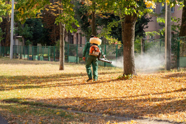 Best Best Pest Control Companies  in Hinckley, IL