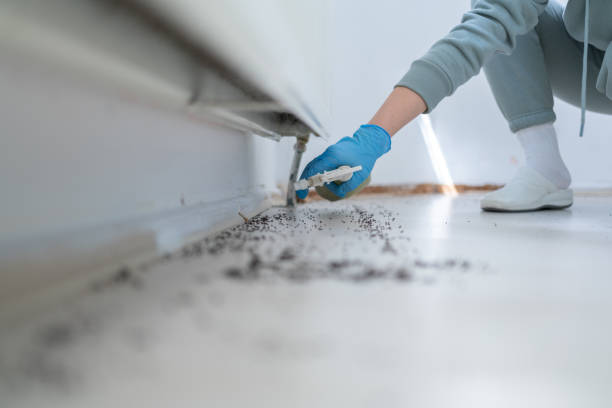 Best Best Pest Control Companies  in Hinckley, IL